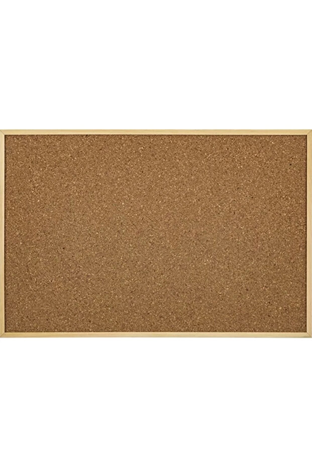 511 Mantar Pano 45x60 Ahşap Çerçeve - 1