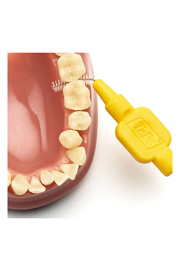 فرشاة واجهة 8 قطع متعددة الألوان - 5