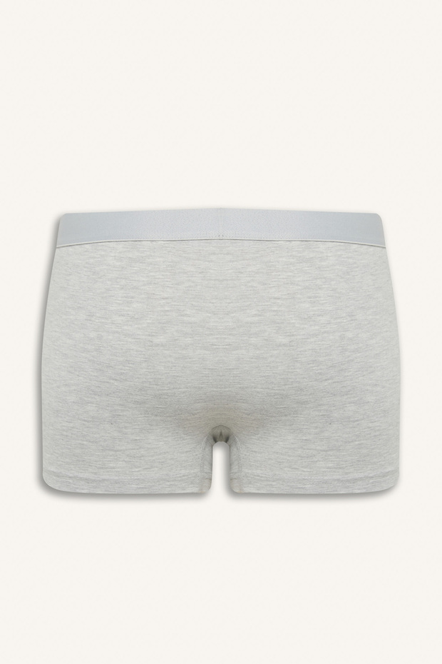 Regular Fit 3'lü Boxer - 3