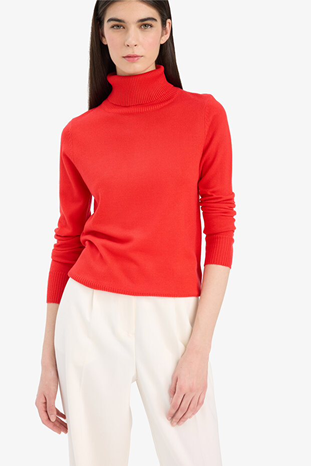 Regular Fit Soft Textured Turtleneck Basic Plain Knitwear Sweater H1651Az24Wn - 1