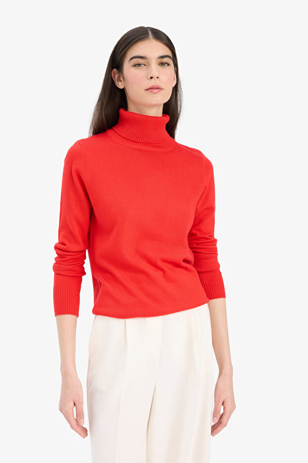 Regular Fit Soft Textured Turtleneck Basic Plain Knitwear Sweater H1651Az24Wn - 4