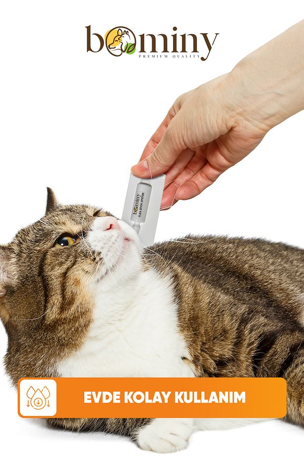 Kedi Köpek Damlası Dış Parazit Pire Kene Bit ve Deri Bakımı İçin Bitkisel Damla - 4 Tüp - 4