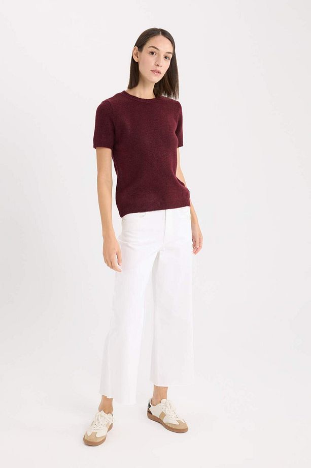 Regular Fit Bisiklet Yaka Basic Düz Triko Kısa Kollu Tişört  Kazak E3214AX24WN - 2