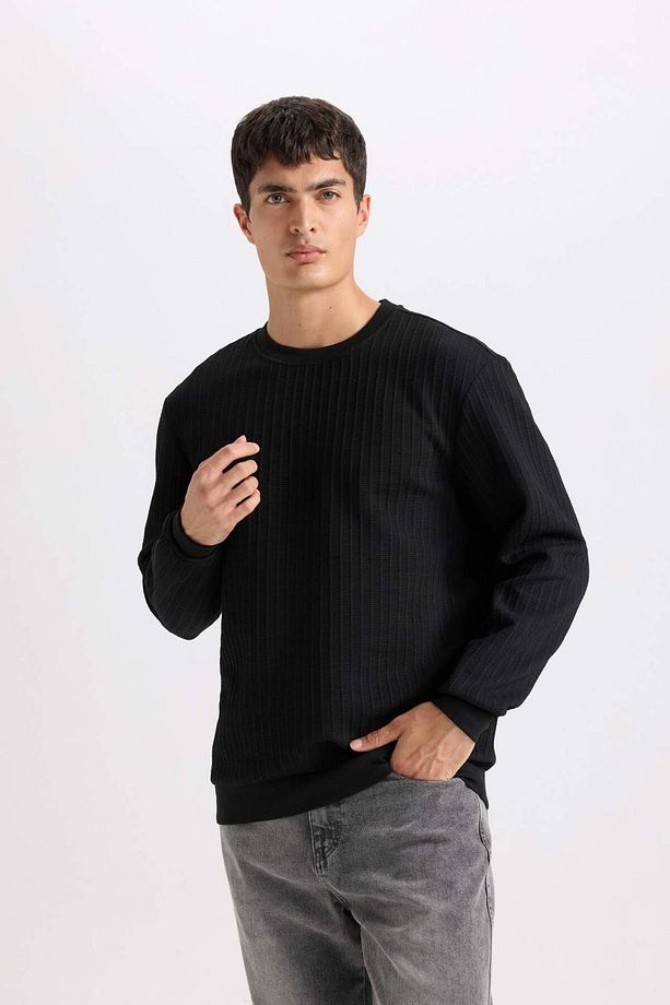 Regular Fit Bisiklet Yaka Jakarlı Basic Düz Sweatshirt D5391AX24AU - 4