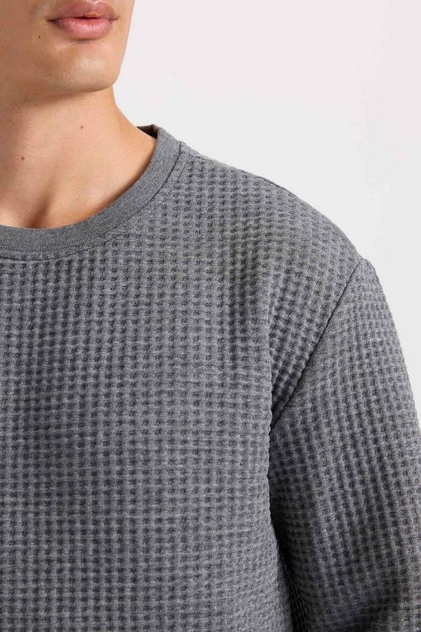 Regular Fit Bisiklet Yaka Jakarlı Sweatshirt D5392AX24AU - 5