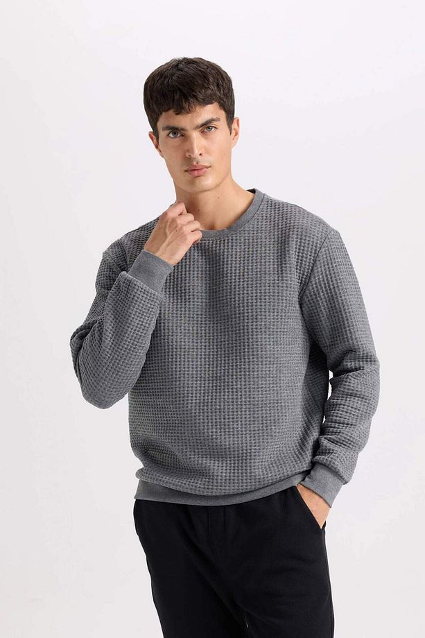 Regular Fit Bisiklet Yaka Jakarlı Sweatshirt D5392AX24AU - 3
