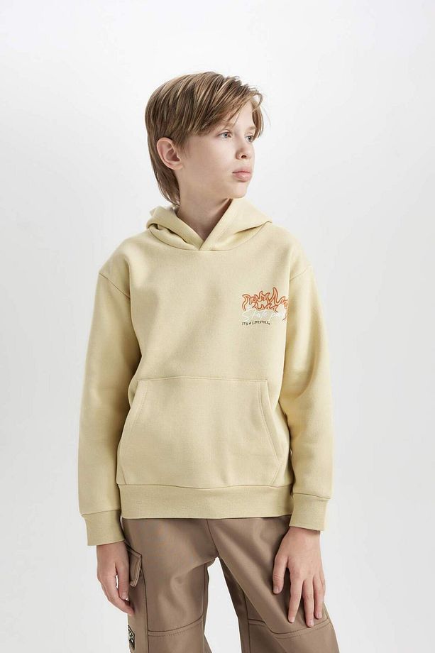 Erkek Çocuk Kapüşonlu Sırt Baskılı Sweatshirt D3039A824WN - 3