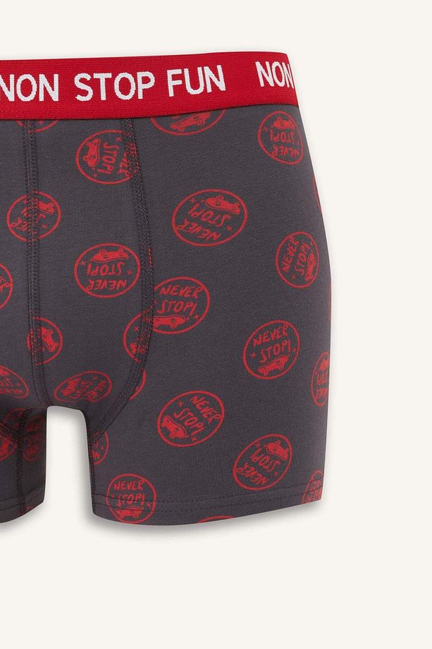 Regular Fit 3lü Boxer B4782AX24WN - 4