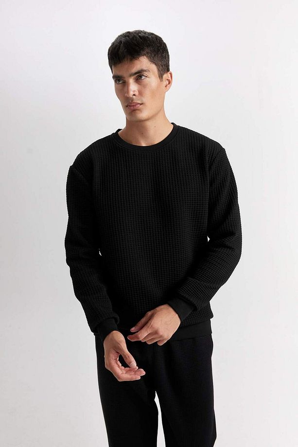 Regular Fit Bisiklet Yaka Jakarlı Sweatshirt D5392AX24AU - 5