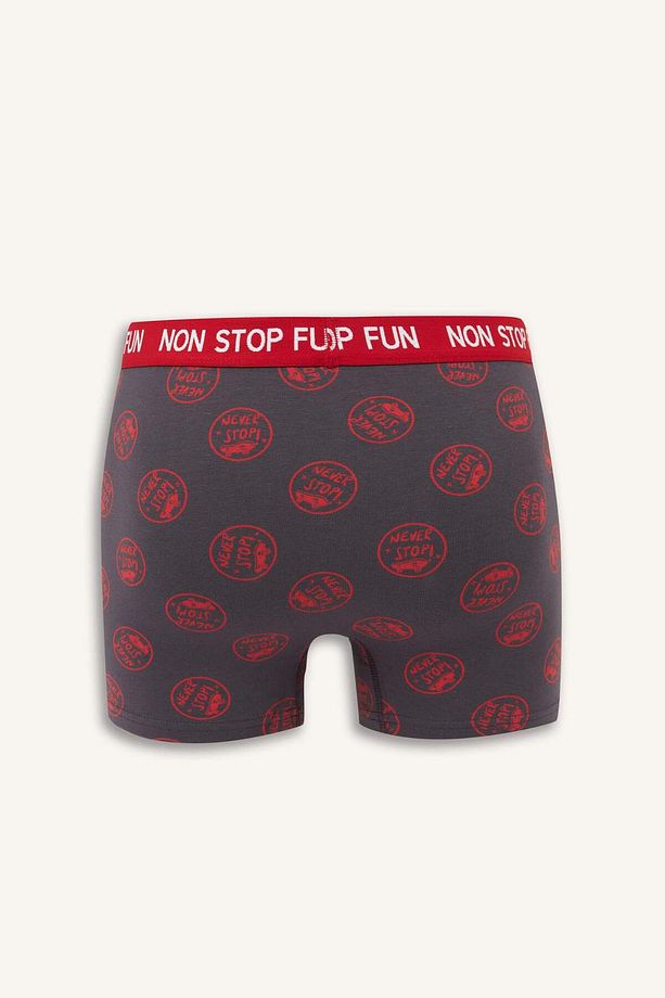 Regular Fit 3lü Boxer B4782AX24WN - 3
