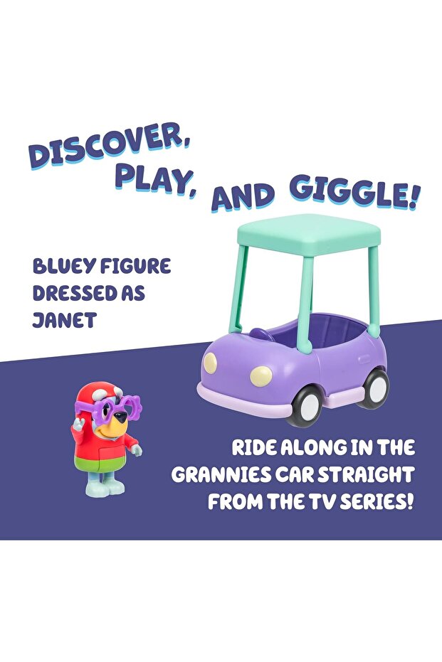 سيارة الجدة الأساسية S13 وجانيت 18924 - 2