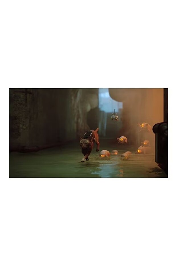 ستراي بلاي ستيشن 4 (PS4) - 5