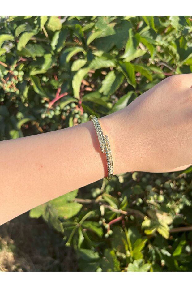 نموذج المشبك - 2