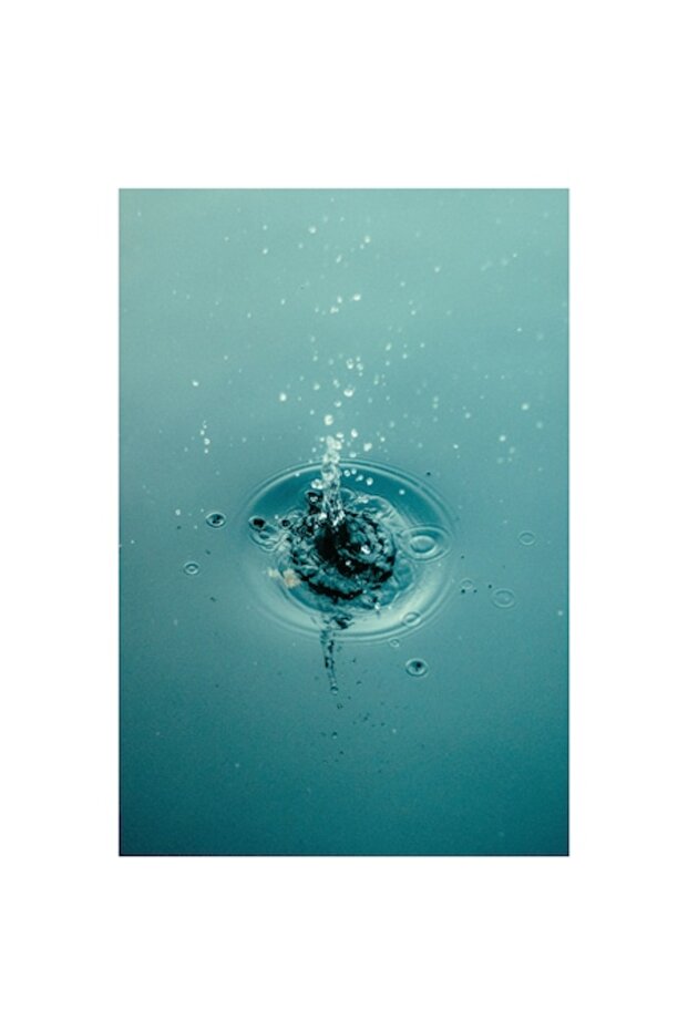 Simfonie Acvatica - 1