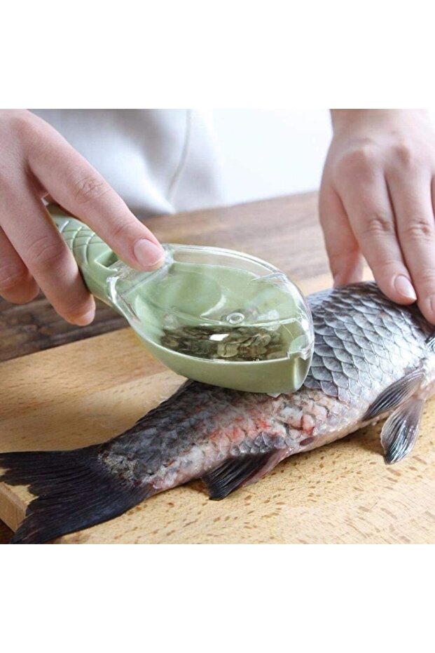 Fish Cleaner Device - 2
