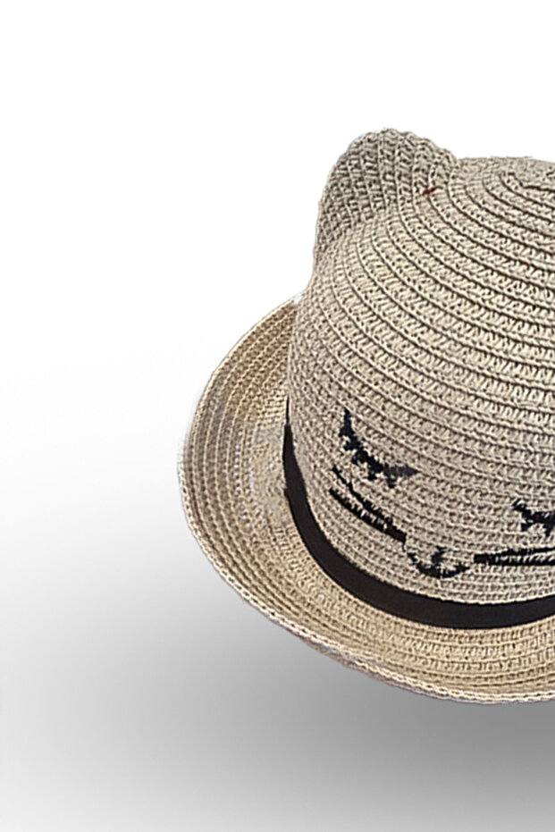 Plaarie paie pisica - 2