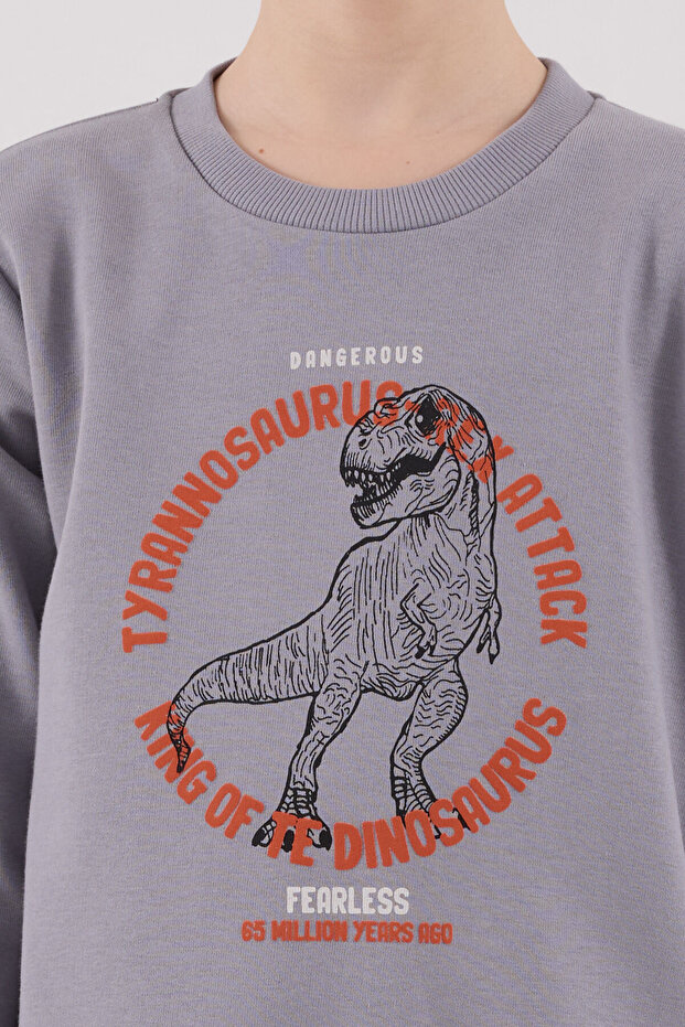 Boy's Gray Tracksuit Set - 6