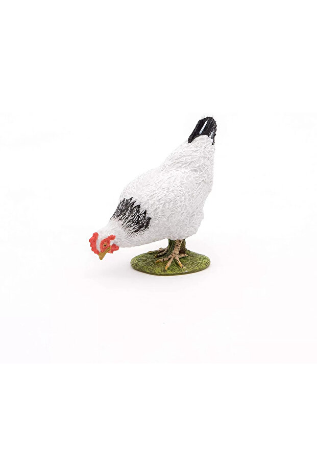 Άσπρο Ειδώλιο Κότας - 3