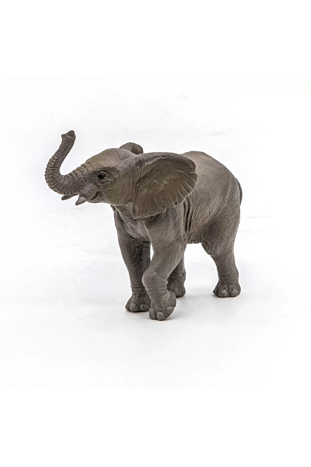 Μωρό Ελέφαντας - 4