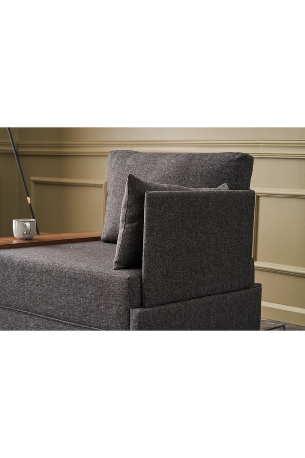 FLY TEKLİ KOLTUK, ANTRASİT - 3