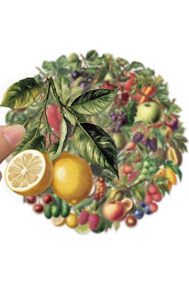 50PCS 50PCS Retro Fruit Graffiti Stickers Decoration DIY Skateboard Luggage Notebook Water Cup PET W