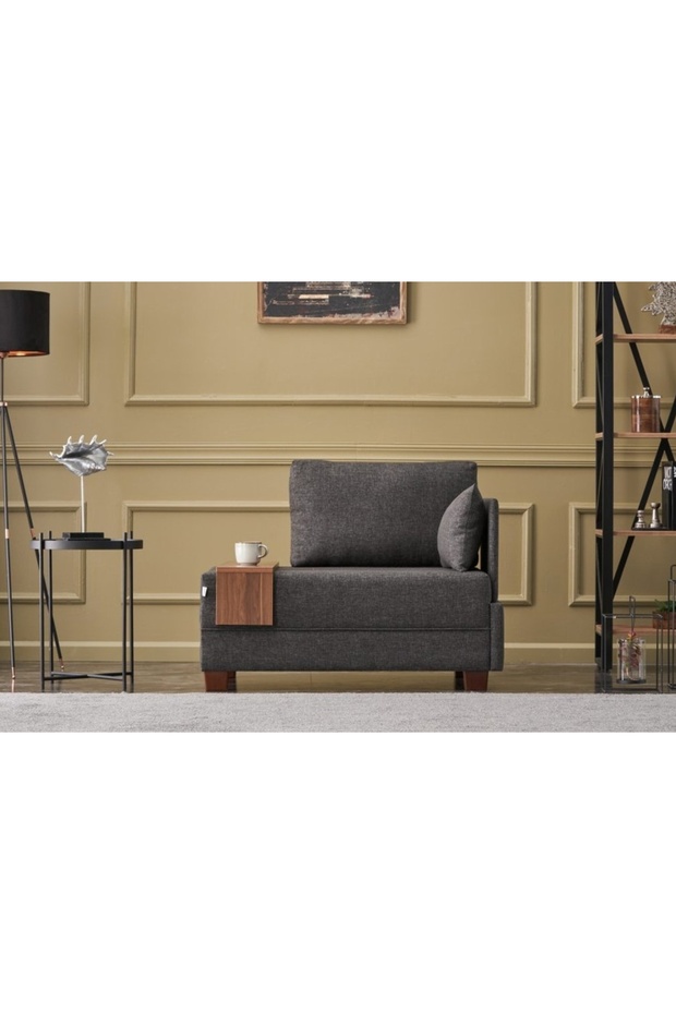 FLY TEKLİ KOLTUK, ANTRASİT - 1