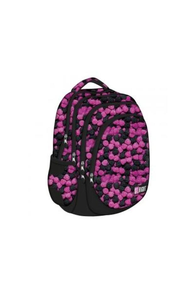 Ghiozdan cu 4 compartimente BP06-colectia Berries-