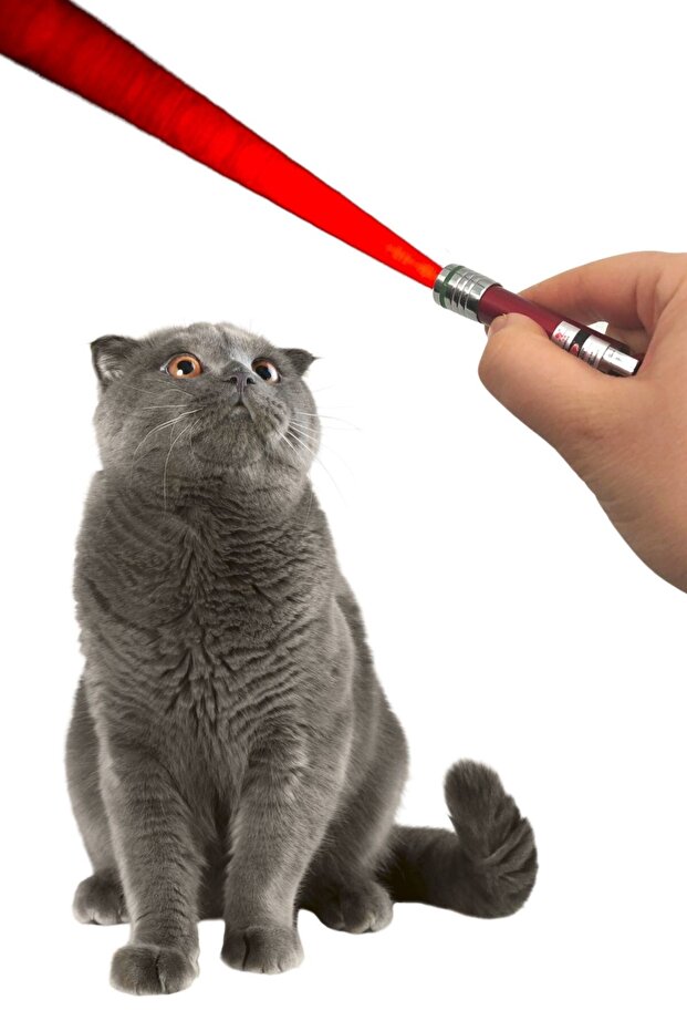 ®   3 وظيفة أحمر أبيض مضاءة LED الليزر القط الكلب لعبة المفاتيح - 1