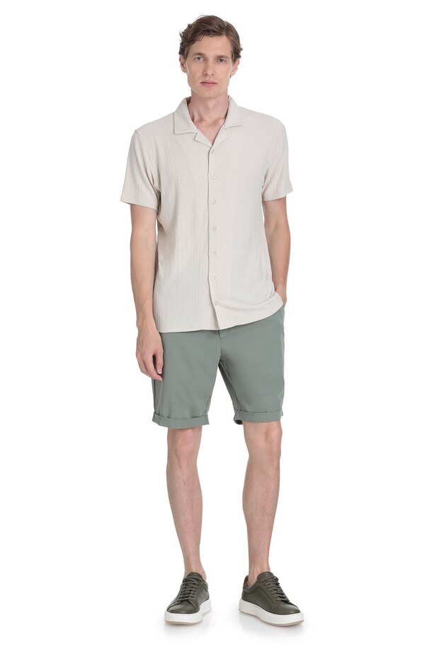 Taş Regular Fit Apaş Yaka Gömlek - 2