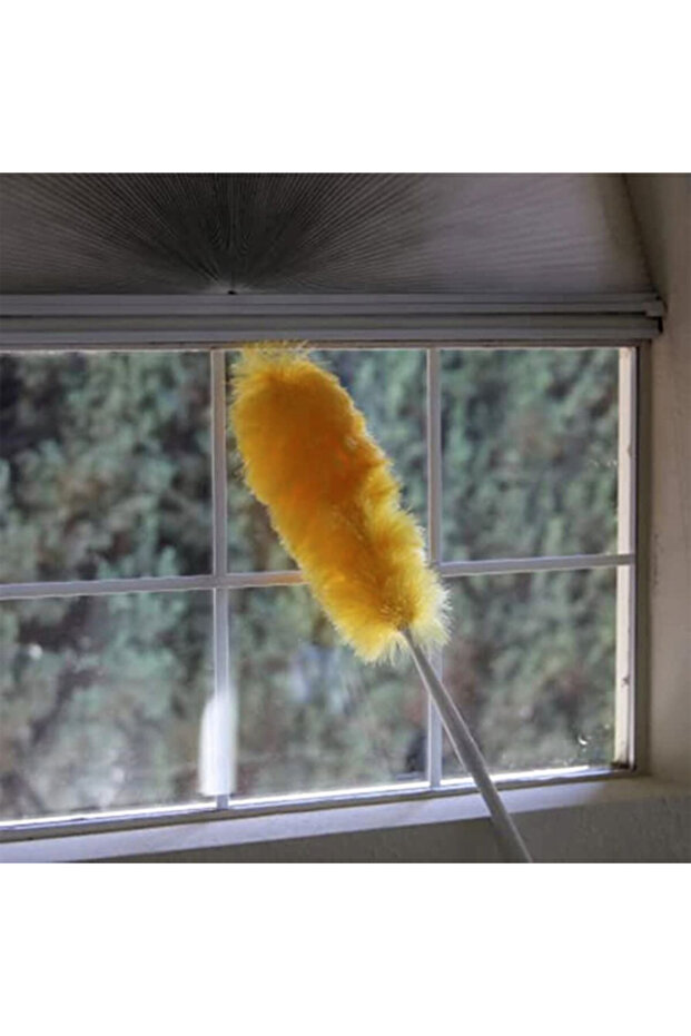 شاحنة بوستا داستر مع عمود تمديد - 6