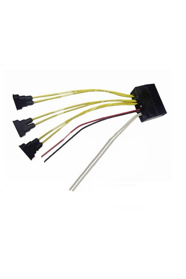 Saydırmalı Arap Korna Beyni - 1