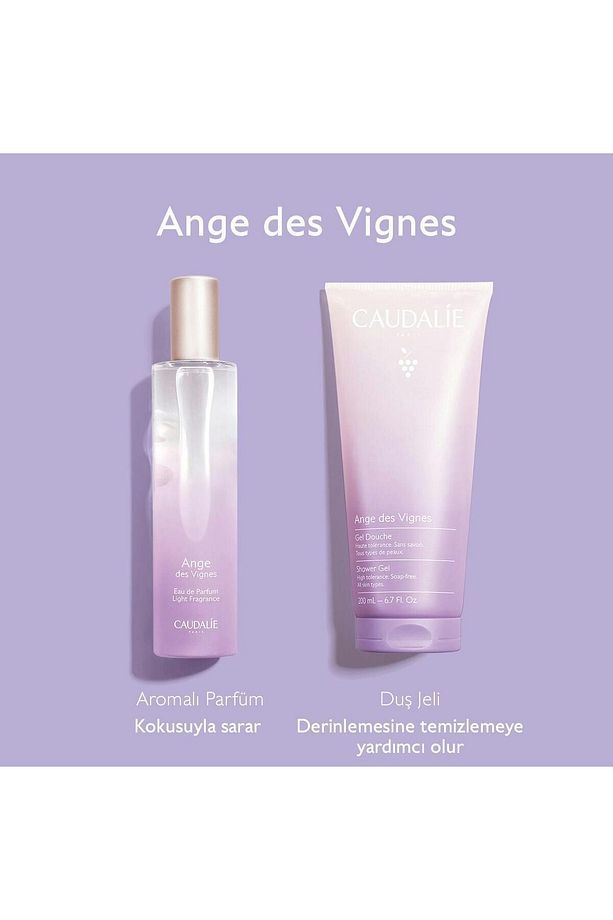 Ange Des Vignes Parfüm Seti 50 ml - 2