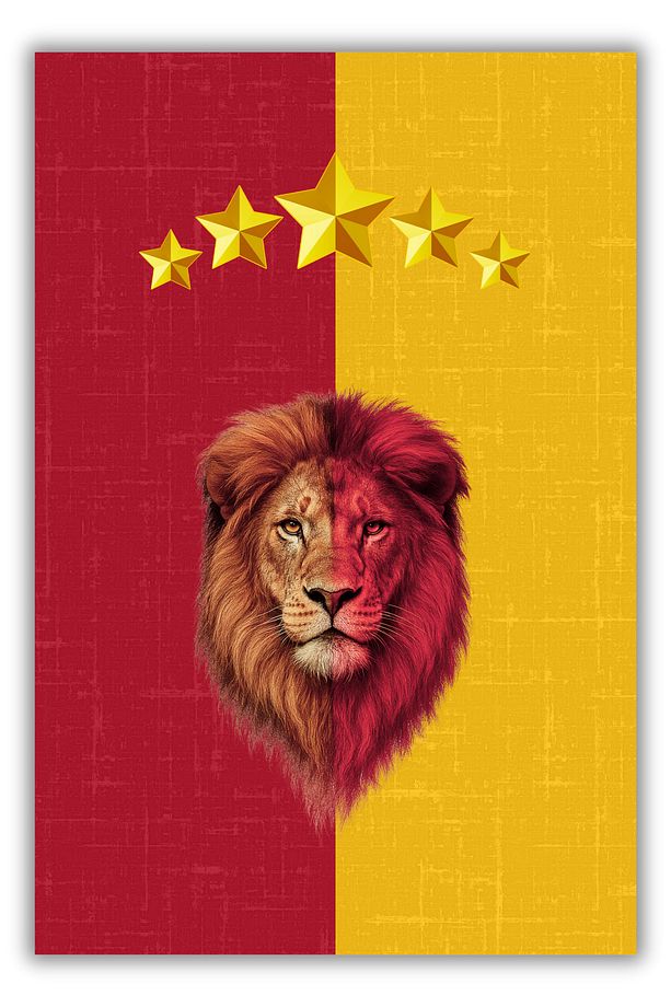 Aslan Desenli Sarı Kırmızı Taraftar Halısı Dijital Baskılı Dokuma Tabanlı Kaymaz Oturma Odası Halısı - 3