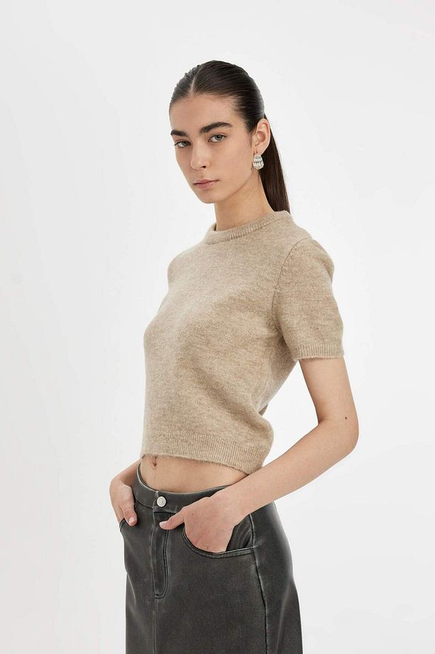 Regular Fit Bisiklet Yaka Premium Basic Düz Kısa Kollu Triko Kazak C9049AX24WN - 4