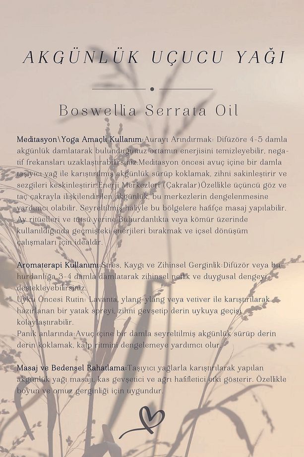 Akgünlük Uçucu Yağı (10 ML) - Frankincense Essential Oil - 4
