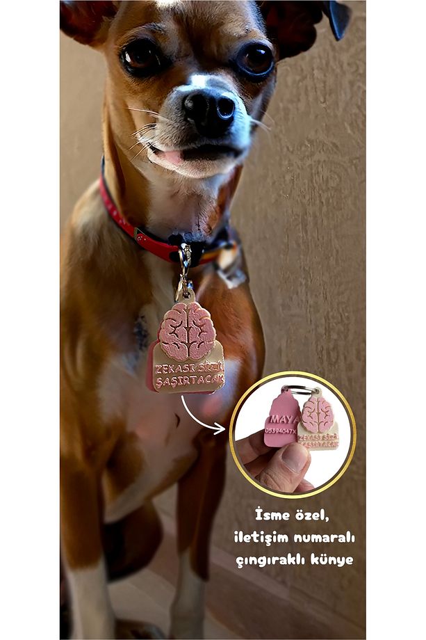 Kedi Ve Köpekler için Kişiye Özel İsim Yazılabilir Çıngıraklı Künye Ve İsimlik ( 2.Resmi Okuyun) - 1