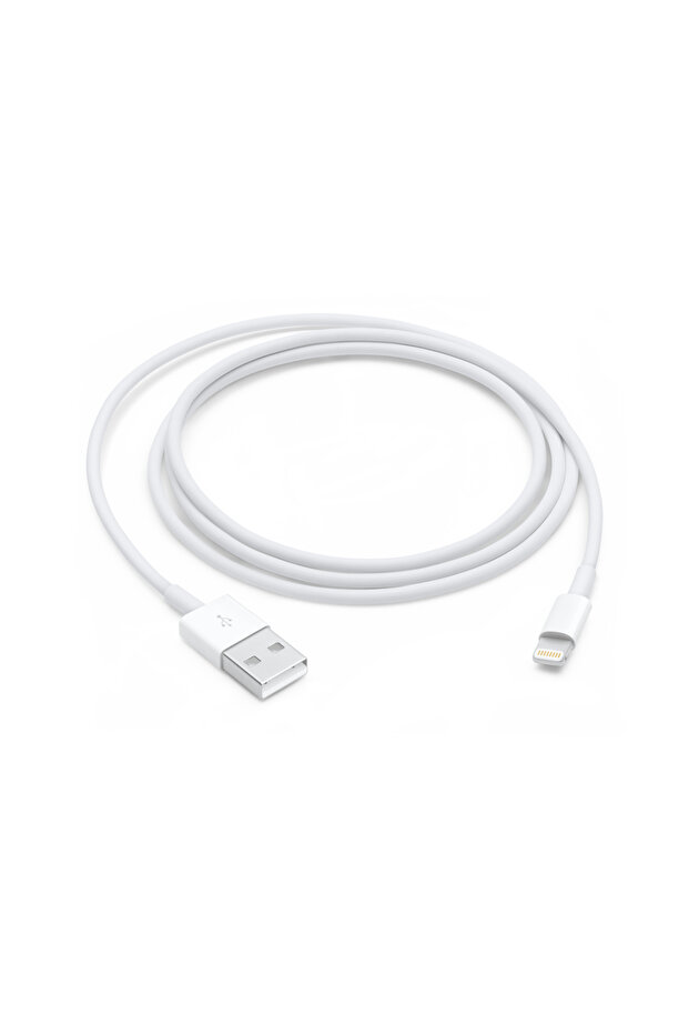 كابل Lightning إلى USB (1 متر) - 1