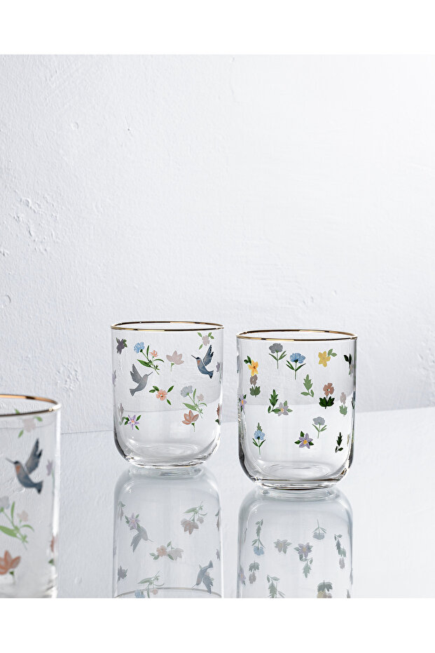 Boise 4-Piece Water Glass Set - Transparent
