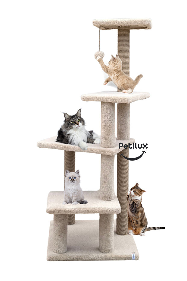 أداة خدش القطط متعددة الطبقات كبيرة الحجم - 1