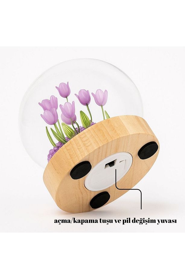 Işıklı Cam Fanus İçinde Lale Gece Lambası – Ahşap Tabanlı - 2
