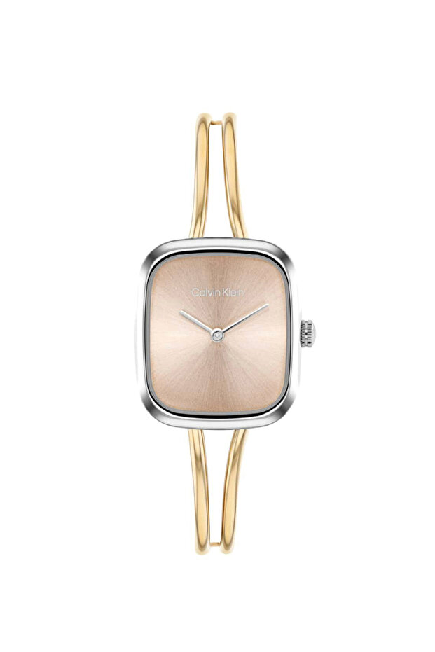 Ck25100134 Women's Wristwatch