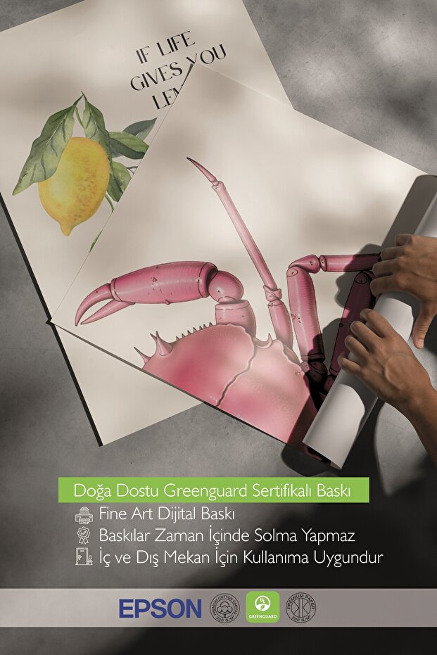 Ahşap Tablo Seti, 3 Adet Ahşap Çerçeveli Poster wine not? Model No:300855, Multicolor Duvar Dekoru - 6