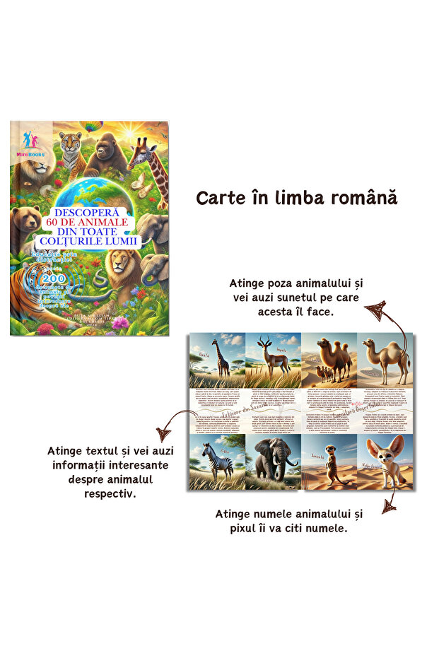 Interactive books with sounds, third generation - 3