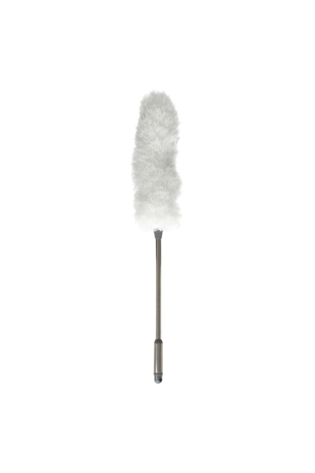Feather Duster - 1