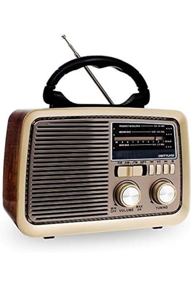مكبر صوت هاي فاي بتقنية البلوتوث مع راديو FM/AM/SW، ومصباح يدوي، وفتحة بطاقة USB/TF، ومدخل AUX، وسلكي محمول
