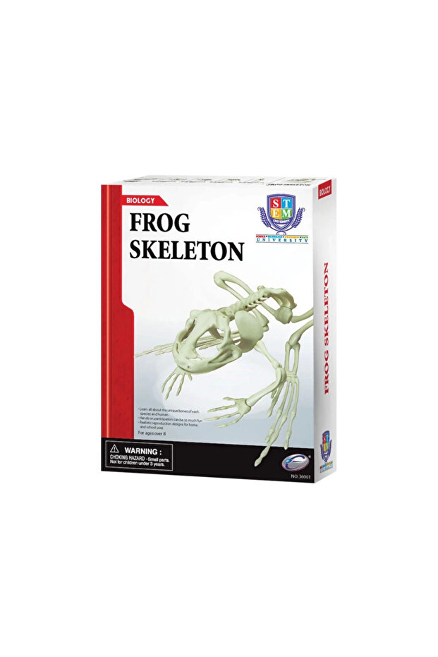 مجموعة علم هيكل عظمي الضفدع - 2