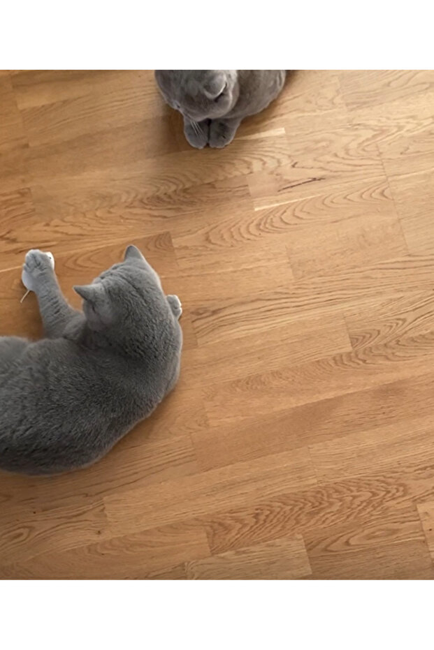 interactive toy, Mouse with remote control, gray, 15 cm - 9