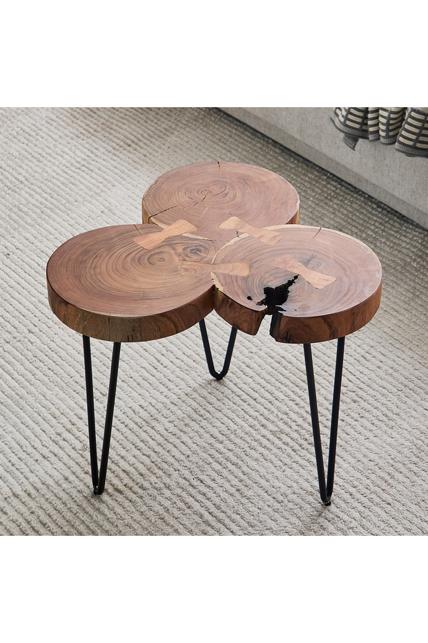 طاولة قهوة من خشب فيندرا لوج الصلب ذي الحواف الطبيعية - 2