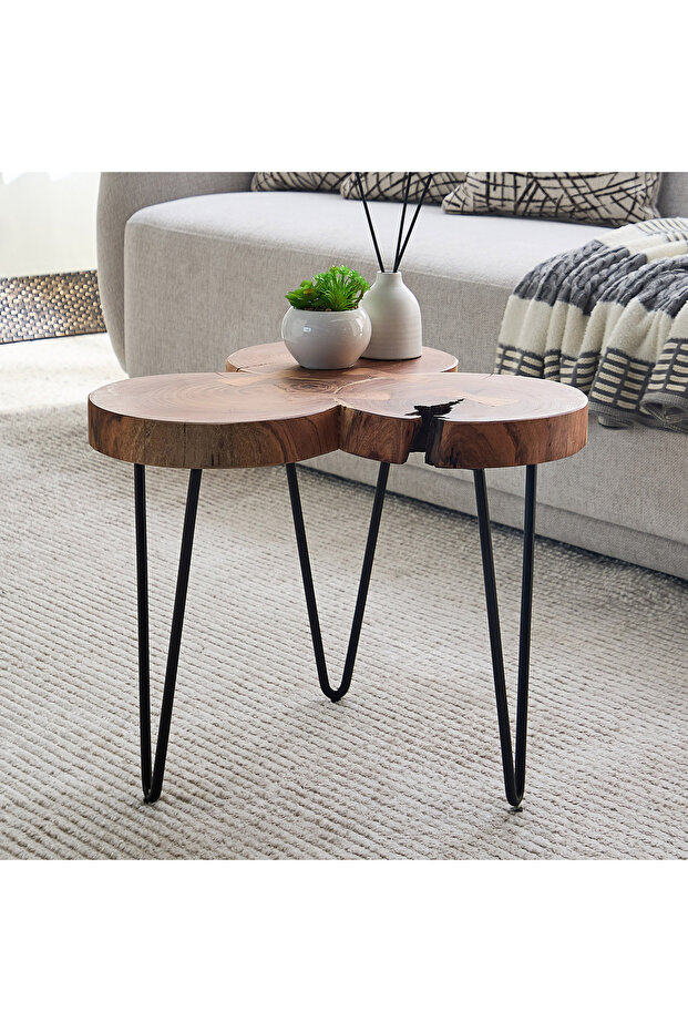 طاولة قهوة من خشب فيندرا لوج الصلب ذي الحواف الطبيعية - 1