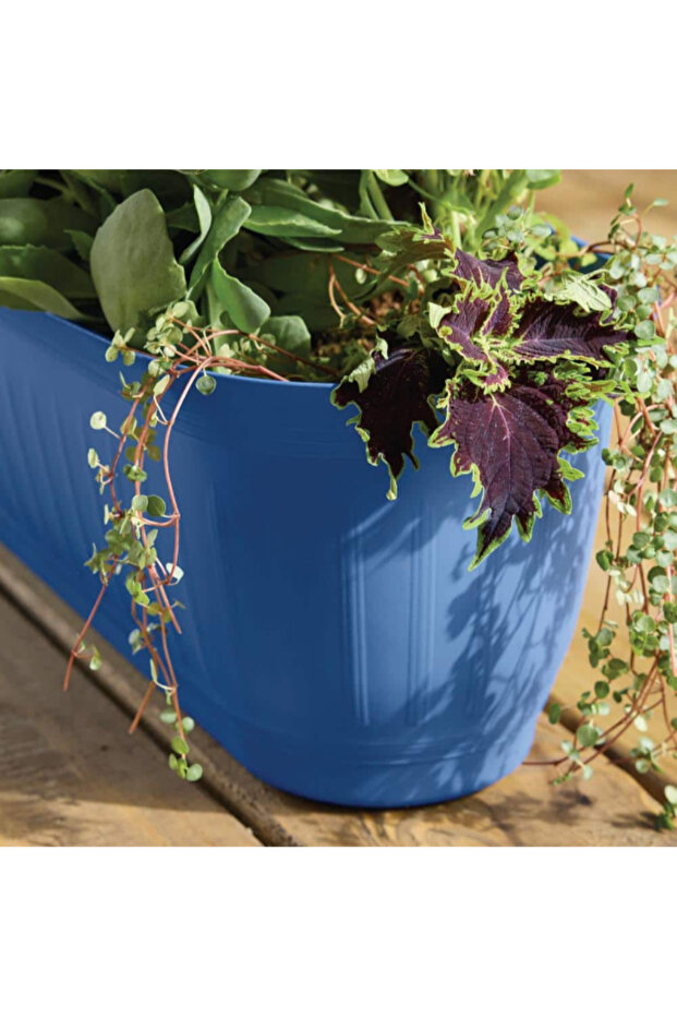 وعاء نباتات بلاستيكي مستطيل الشكل من إليانور، مقاس 24 بوصة - 5